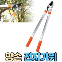 양손 전지가위