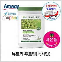암웨이 뉴트리 푸로틴 (녹차맛) + 사은품 (꼬리빗/염색빗) 증정 [우체국택배/무료배송]