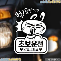[airistore] 들킨겨토끼 초보운전 초보자동차스티커 반사