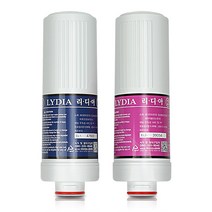 중외제약 LYDIA-8040EOS 리디아 정품 이온수기 필터, 선택2 - 리디아 정품 2차