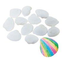 어항꾸미기 화석재료 조개껍데기 돌봄교실 사이언스 학습완구 과학교구 diy