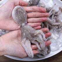 제철 대왕 생물 알 주꾸미 1kg 알배기 주꾸미 별미 쭈꾸미 술안주 캠핑 숙회 택배, 중국 급랭 알주꾸미 1kg