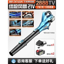 제설 무선송풍기 먼지청소 전원주택 선물용 전기, (낙엽/청소/송풍기/2888TV/더블/13단)