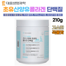 대웅 생명과학 프로틴 단백질 분말 210g 초유 산양유 동물성 식물성 단백질 콜라겐 류신 BCAA 임산부 노인 성장기 어린이 단백질 쉐이크, 1병