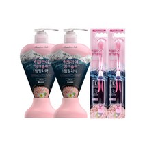 히말라야핑크솔트 펌핑치약 285g 플로럴 2개 + 히말라야핑크솔트 칫솔 2개, 단품