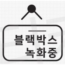 블랙박스 녹화중 스티커 데칼 튜닝 쏘렌토 NF소나타 그랜져 코란도스포츠 모닝 아반떼HD QM3 스타렉스 YF 올뉴K7 더뉴코나 A6 포터2 제네시스 SM5 MQ4, 블랙, B타입