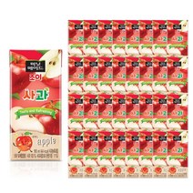 미닛메이드 조이 사과 195ml 24팩
