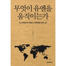 무엇이 유엔을 움직이는가:국제정치의 최일선 5위원회를 읽는다, 넥서스BOOKS