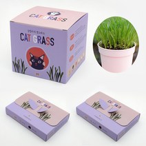 고양이 캣글라스 화분 재배세트 키트 1개 + 리필2개, 밀싹세트+리필2개