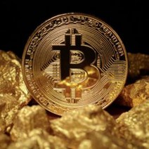 비트코인 모형 가상화폐 기념주화 24K 리얼골드 BTC 외화달러 월드코인 비트 아메리칸 기념주화, 국방색