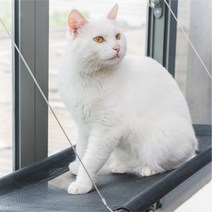 고양이 창문 해먹 윈도우 캣 선반 다묘 뚱냥이 사용 가능 최대 25kg