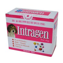 인트라젠 30P 애견 강아지영양제 애견유산균-72394EA 와이조이굿샵, 본상품선택