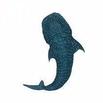 스노우보드스티커 스티커 스키스티커고래 상어 방수 자동차 스티커 13x10cm 창문 캠핑카, 01 Style A_03 13x10cm
