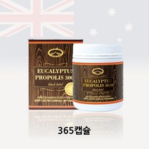 [호주 네이쳐스탑] 유칼립투스 프로폴리스 3000 365 캡슐