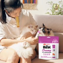 라이브잇 하림더리얼 고양이 크리미 파우치 10g x 25p, 9개, 250g, 연어 + 닭고기 혼합맛