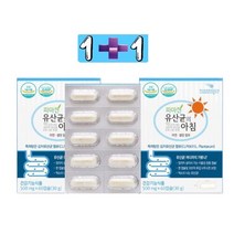 장용성캡슐 특허받은 김치유산균함유 유산균의아침 파마젠 (60캡슐2개)4개월분, 60정, 2개