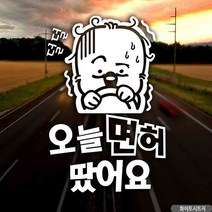 자동차스티커 오늘면허땄어요 초보운전 반사 30대여성, 상세페이지 참조