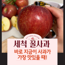 껍질채 먹는 세척사과 경북 부사 고당도 꿀사과, (정품)중대과 13-15과