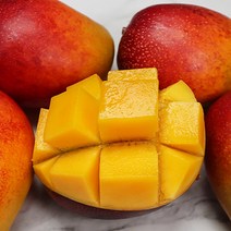 과일 제주애플망고 망고선물세트 애플망고 2kg, 제주 애플망고 대과 2kg, 1개