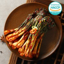 전라도맛집 더드림 알싸하고 맛깔난 파김치 1kg (100% 국산 HACCP), 파김치 5KG