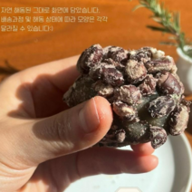 제주 황칠 오메기떡 50알/30알 명절 선물포장, <선물포장>황칠오메기떡 5종혼합(50알)” class=”wr-img”></a></div></p></div></p></div></p></div><div class=