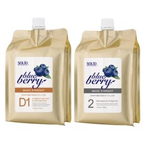 아름다운 블루베리 매직스트레이트 500g(손상모용), _660_크림타입, 단품