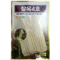 흰찰옥수수씨앗 500g/700g/찰옥4호 찰옥수수종자, 500g, 1개