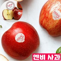 바로보담 예산 엔비사과 5kg 10kg 명품 envy사과 고당도 충남 예산 꿀 nb 엔비사과철 5키로 10키로, 엔비사과 5kg(19과)내외, 1개