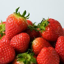 [산지직송] 지리산 산청 딸기 생딸기 설향딸기 킹스베리 제철 과일 1kg, <a.2> 설향 딸기 1kg (상품)