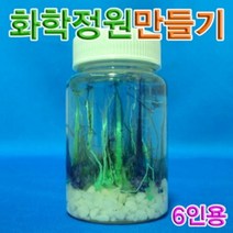 썬42520 [SΘN] 칫솔살균기만들기 과학화학정원 삼투압현상실험 학생용과학교구 과학완구, iШi_ 향앤미과학 화학 정원 만들기 6인용 화학정원, Ш본상품선택Ш