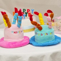 펫 생일케익모자(대), 색상/런칭기념펫보험무료가입:블루/보험가입, 블루/보험가입 거절