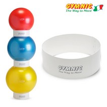짐닉 스태커 (짐볼정리대 55~75cm)/짐볼정리 짐볼디스플레이, 선택완료