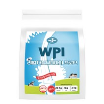 NEW 진짜 리얼 WPI 프로틴 2000g, 1개
