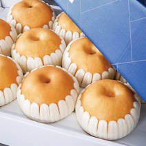[농부마음] 나주 산지직송 나주 꿀 배 3kg 5kg 7.5kg 15kg 명절 과일 선물용 & 가정용 햇배 신고배 선물 세트, 1box, 가정용 3kg 6-9과