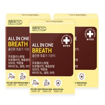 펫탠다드 올인원 호흡기 기관지 애견 강아지 영양제, 3개, 기관지 영양제