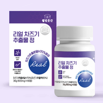 루테올린 차조기 차지기 자소엽 리얼 차즈기 추출물 600mg 60정 눈 영양제, 36g, 1개
