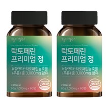 오늘의밸런스 락토페린 3000mg 초유 유산균 60정 4개월분, 60정 X 2개 4개월분, 2개