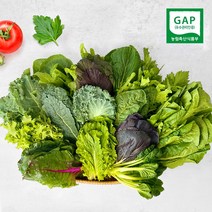 [프리팜] GAP인증 멋진농부 쌈채소, 쌈채소 1kg, 1개