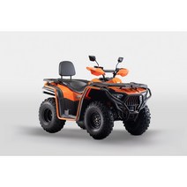 ATV 300 BASHAN/UTV/제설용 ATV/제설장비/농업용 화물 ATV/사륜오토바이/산악 오토바이/사발이