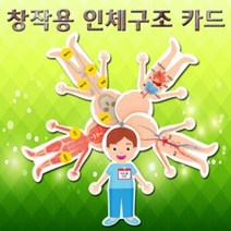 MDT4458 창작용 인체구조 카드 5인용 (인체구조카드/과학교구/몸의구조카드/카드만들기)