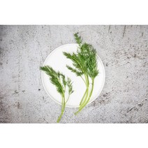 [온도씨]가락시장 딜 100g, 1개, 상세 설명 참조