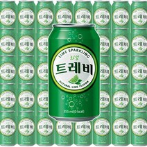 롯데칠성 트레비 라임 355ml 24캔 탄산수 탄산음료 300ml 500ml 외 5종, 04.트레비 (플레인) 300ml x 2