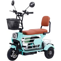 삼륜오토바이 3륜 전기 스쿠터 출퇴근 미니 바이크, 48V