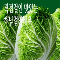 철수네농장 2023 올해 땅끝 해남 절임배추20kg 추천 절인배추 파는곳 산지 예약 주문 판매, 해남절임배추20kg, 11/17산지출발, 20kg