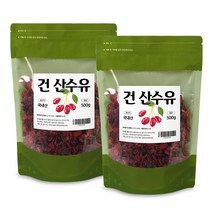 건산수유 열매 구례 말린 지리산 건산수유 의성 국산 전남 엽산 사포닌 500g 2팩, 2개
