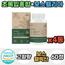식약처인증 프리미엄 고함량 보스웰리아 초록입 초록잎 홍합 가루 분말 정 캡슐 40대 50대 여성 남성 홈쇼핑 프랑킨센스 보스웰릭산 환 차 인도 건강 관리 선물 우슬 치커리 추출, 4통, 60정