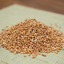 국내산 햇수수 찰수수 1kg 21년 양주 하늘농장