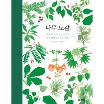 나무 도감 세밀화로그린보리 - 김준호, 단품, 단품
