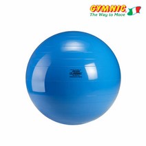 짐닉 클래식 짐볼 65cm 파랑, 단품