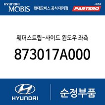 웨더스트립-사이드 윈도우 좌측 (873017A000) 5톤 슈퍼트럭 메가트럭 8톤 트럭 18톤 트럭 6X2 뉴